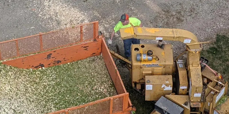Commercial Tree Services in Northfield, Minnesota