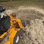 Stump Grinding