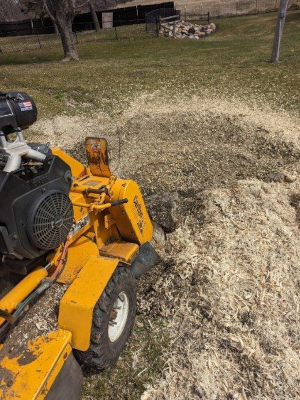 Stump Grinding in Northfield, Minnesota
