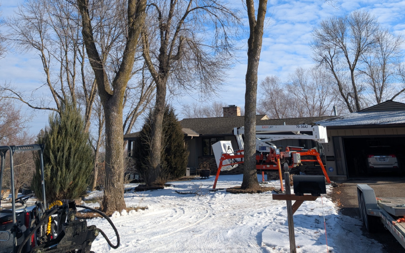 Residential Tree Services