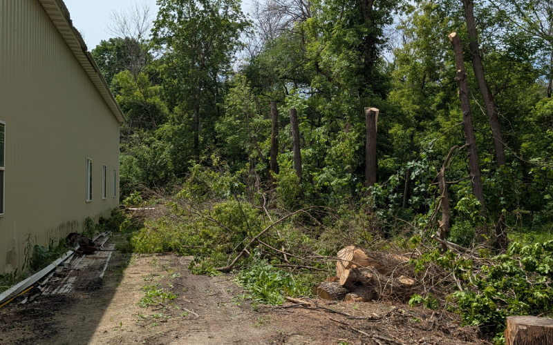 Stump Grinding