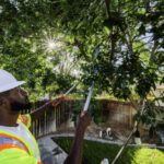 Tree Pruning