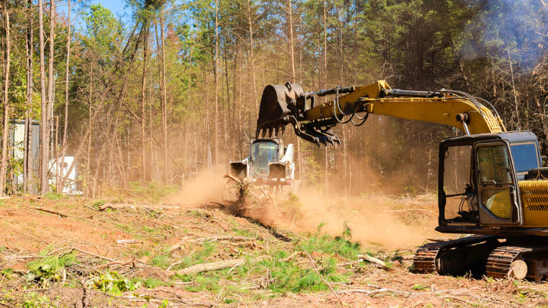 Lot Clearing in Northfield, Minnesota