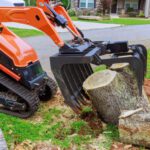 Stump Removal