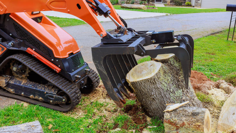 Stump Removal in Northfield, Minnesota
